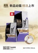 爵加新品幼貓精選上市！