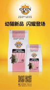 奧丁精品幼貓糧閃耀登場(chǎng)?。?！