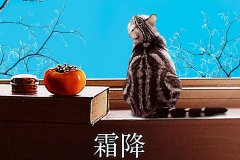 霜降丨縱然霜華盡染，心中美好如初