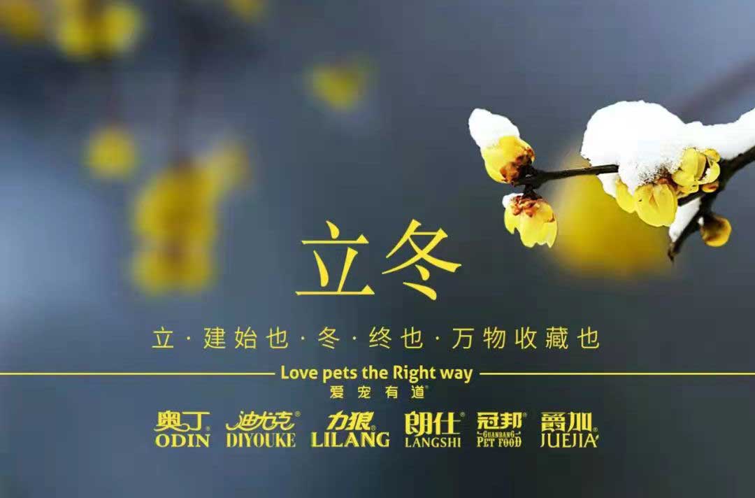 立冬丨冬寒初始，情暖愈濃